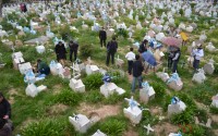 En el Cementerio